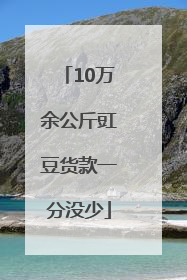 10万余公斤豇豆货款一分没少