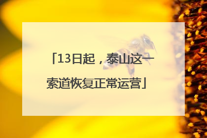 13日起，泰山这一索道恢复正常运营