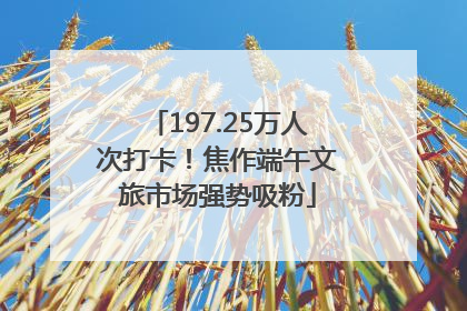 197.25万人次打卡！焦作端午文旅市场强势吸粉