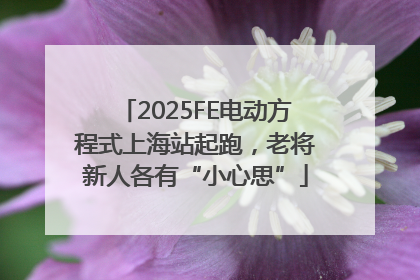 2025FE电动方程式上海站起跑，老将新人各有“小心思”