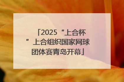 2025“上合杯”上合组织国家网球团体赛青岛开幕