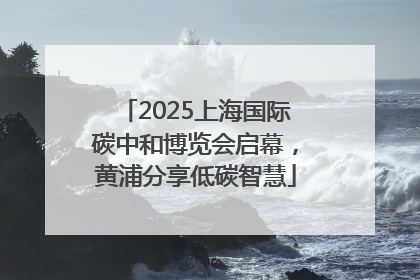 2025上海国际碳中和博览会启幕，黄浦分享低碳智慧