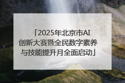 2025年北京市AI创新大赛暨全民数字素养与技能提升月全面启动
