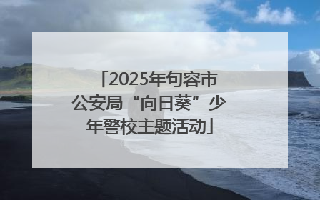 2025年句容市公安局“向日葵”少年警校主题活动