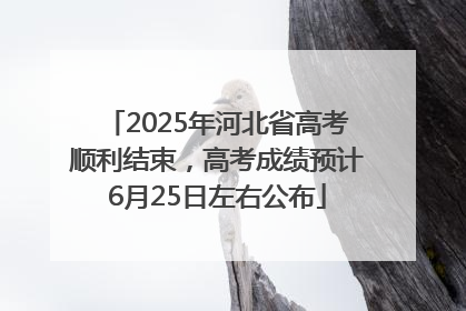 2025年河北省高考顺利结束，高考成绩预计6月25日左右公布