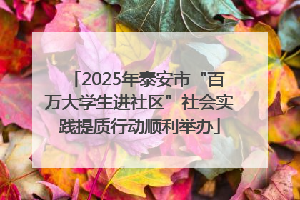 2025年泰安市“百万大学生进社区”社会实践提质行动顺利举办