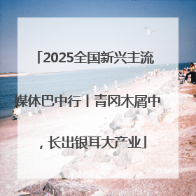 2025全国新兴主流媒体巴中行丨青冈木屑中，长出银耳大产业