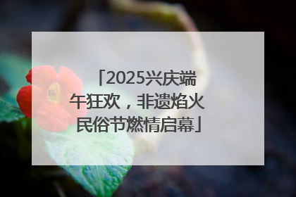 2025兴庆端午狂欢，非遗焰火民俗节燃情启幕