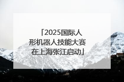 2025国际人形机器人技能大赛在上海张江启动