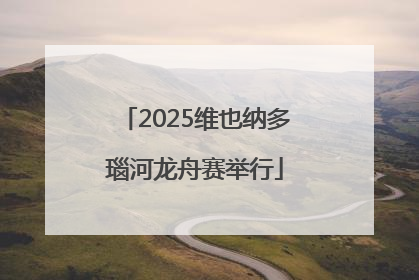 2025维也纳多瑙河龙舟赛举行