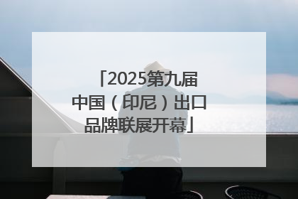 2025第九届中国（印尼）出口品牌联展开幕