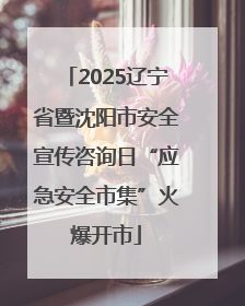 2025辽宁省暨沈阳市安全宣传咨询日“应急安全市集”火爆开市