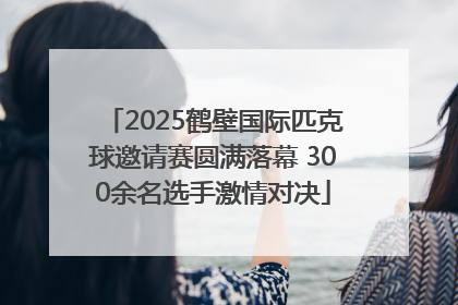 2025鹤壁国际匹克球邀请赛圆满落幕 300余名选手激情对决