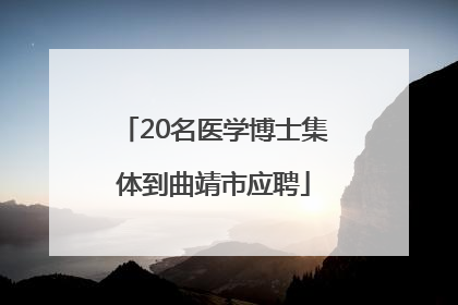 20名医学博士集体到曲靖市应聘