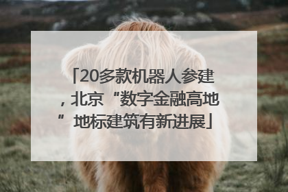 20多款机器人参建，北京“数字金融高地”地标建筑有新进展