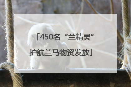 450名“兰精灵”护航兰马物资发放