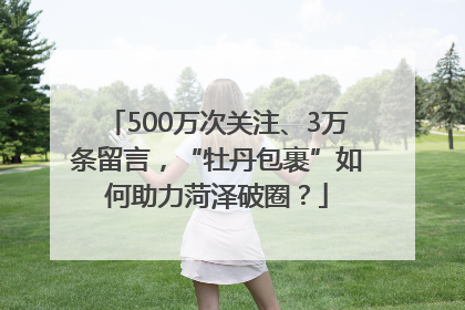 500万次关注、3万条留言，“牡丹包裹”如何助力菏泽破圈？