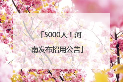 5000人！河南发布招用公告