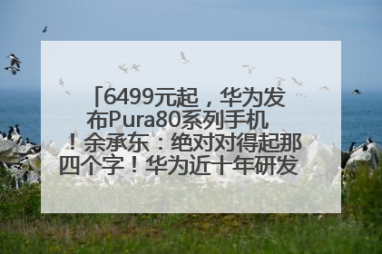 6499元起，华为发布Pura80系列手机！余承东：绝对对得起那四个字！华为近十年研发投入12490亿元
