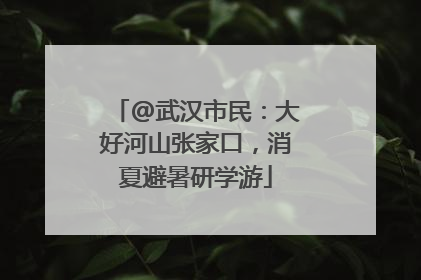 @武汉市民：大好河山张家口，消夏避暑研学游