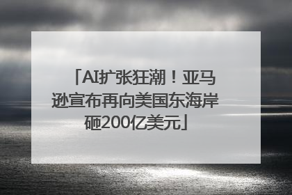 AI扩张狂潮！亚马逊宣布再向美国东海岸砸200亿美元