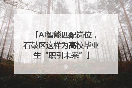 AI智能匹配岗位，石鼓区这样为高校毕业生“职引未来”