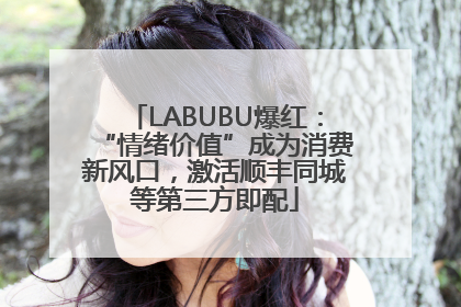 LABUBU爆红：“情绪价值”成为消费新风口，激活顺丰同城等第三方即配