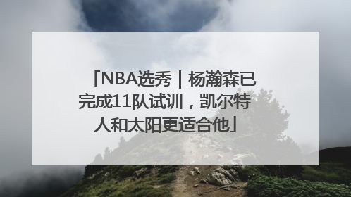NBA选秀｜杨瀚森已完成11队试训，凯尔特人和太阳更适合他