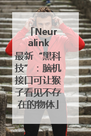 Neuralink最新“黑科技”：脑机接口可让猴子看见不存在的物体