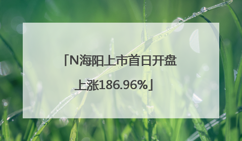 N海阳上市首日开盘上涨186.96%